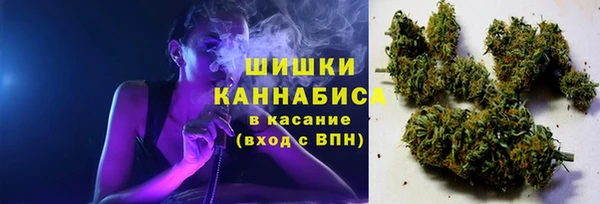 гидропоника Абаза