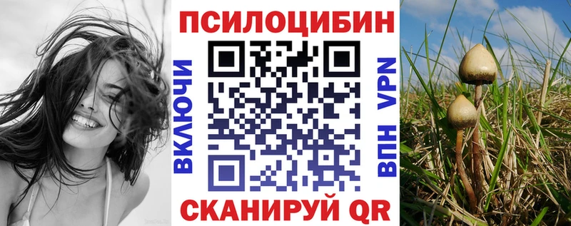 Галлюциногенные грибы мухоморы  Кисловодск 