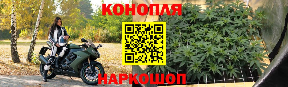 Марихуана гибрид  Бошки марихуана марихуана  Кисловодск  Вход с VPN 